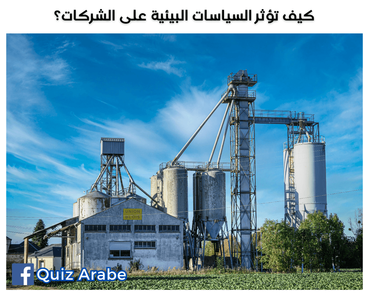 كيف تؤثر السياسات البيئية على الشركات