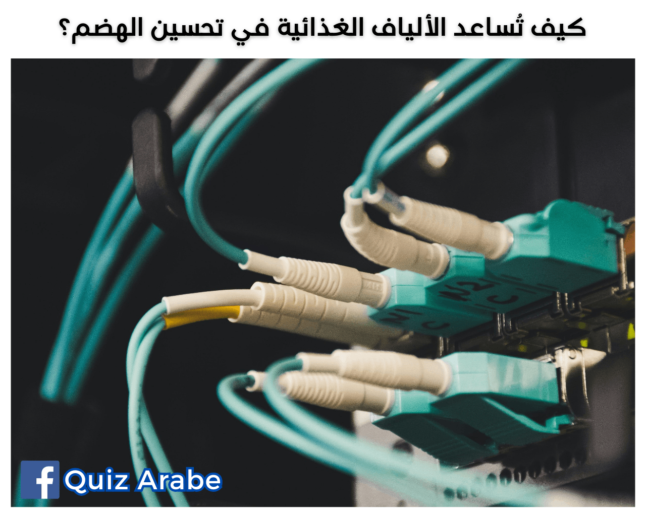 كيف تُساعد الألياف الغذائية في تحسين الهضم؟