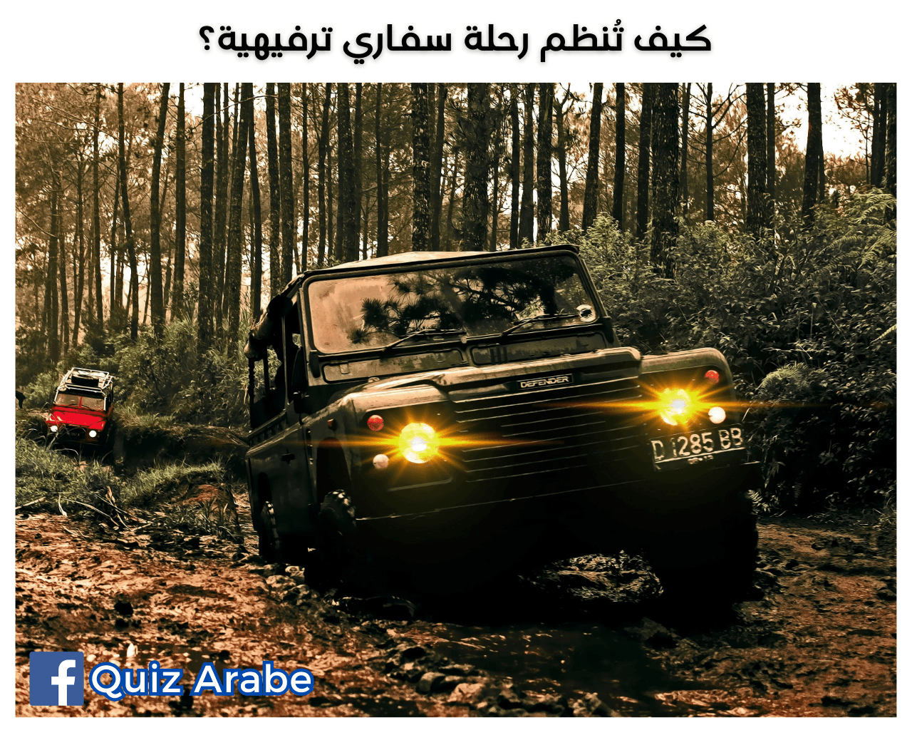 كيف تُنظم رحلة سفاري ترفيهية؟