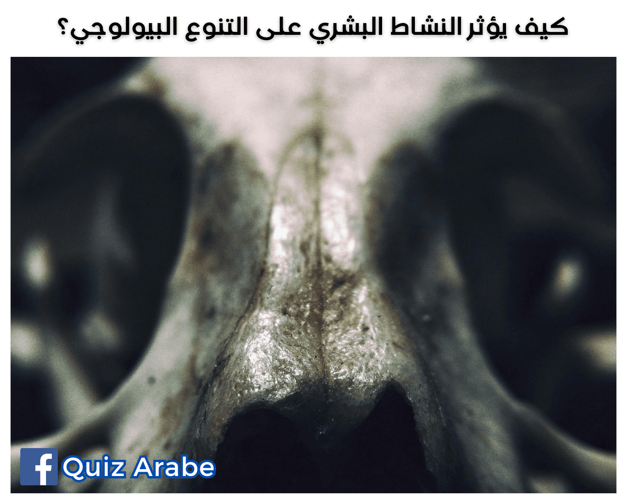 كيف يؤثر النشاط البشري على التنوع البيولوجي؟