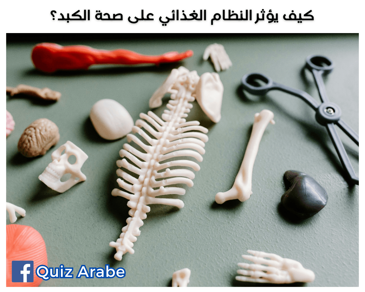 كيف يؤثر النظام الغذائي على صحة الكبد