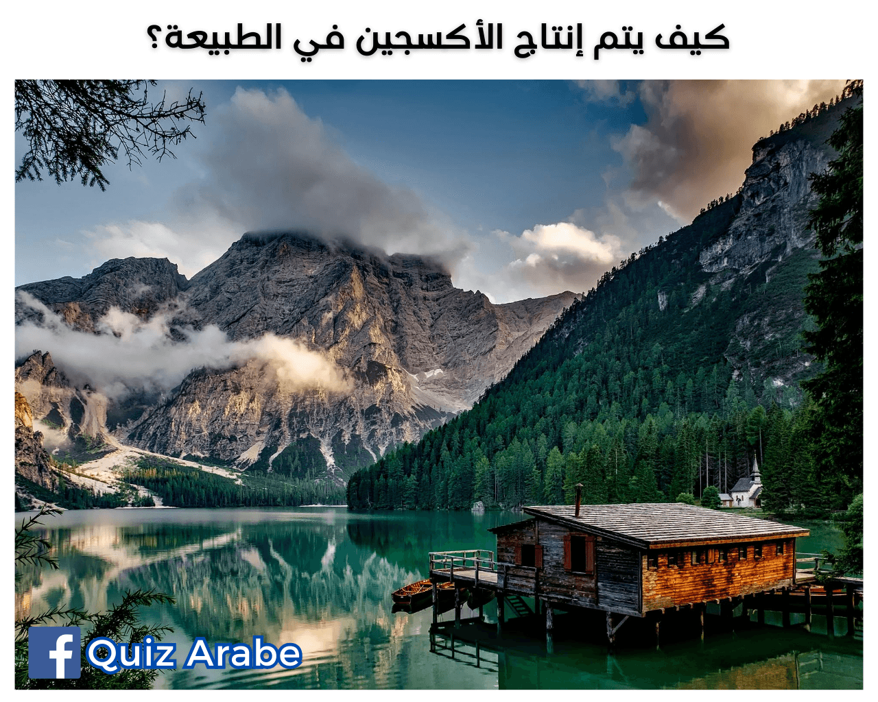 كيف يتم إنتاج الأكسجين في الطبيعة