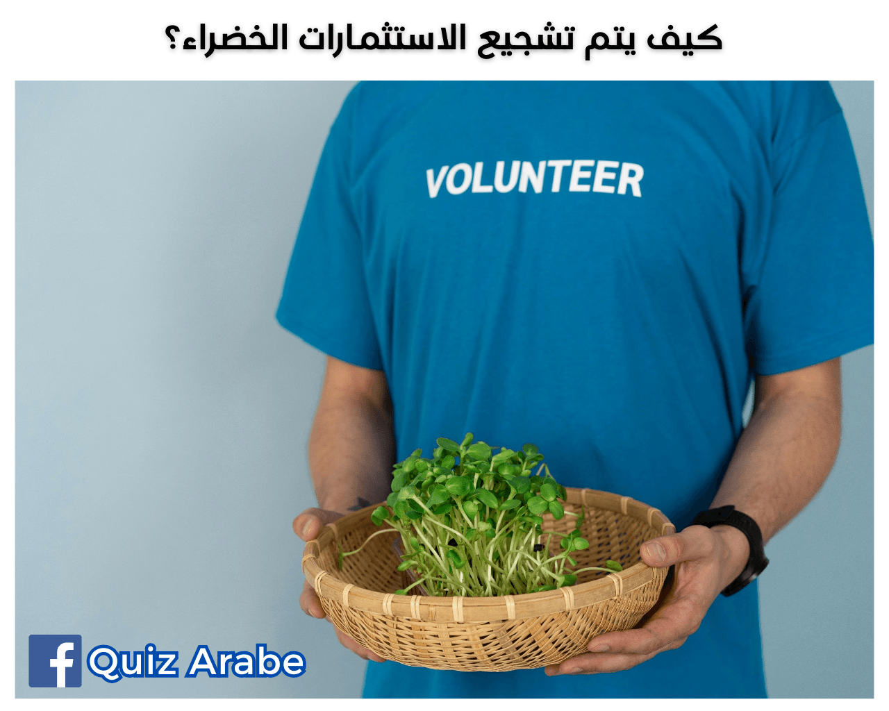 كيف يتم تشجيع الاستثمارات الخضراء