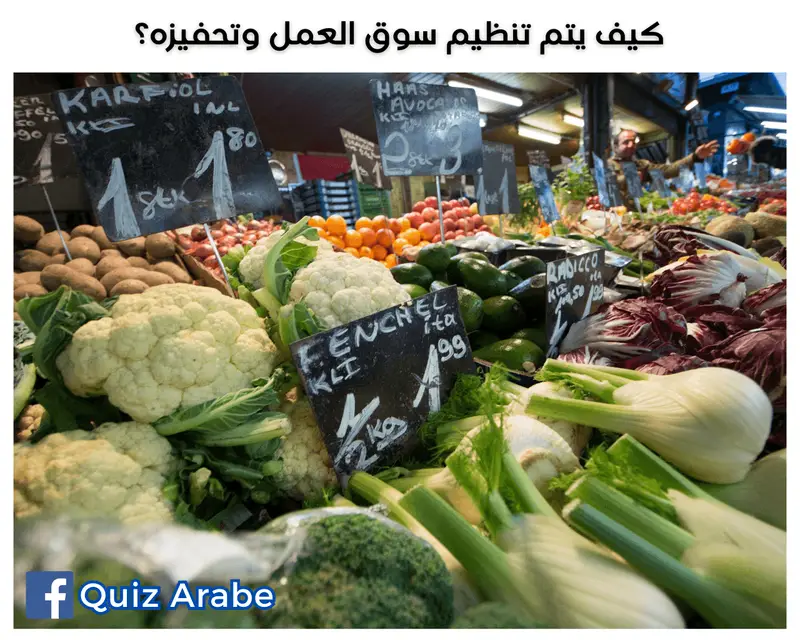 كيف يتم تنظيم سوق العمل وتحفيزه؟