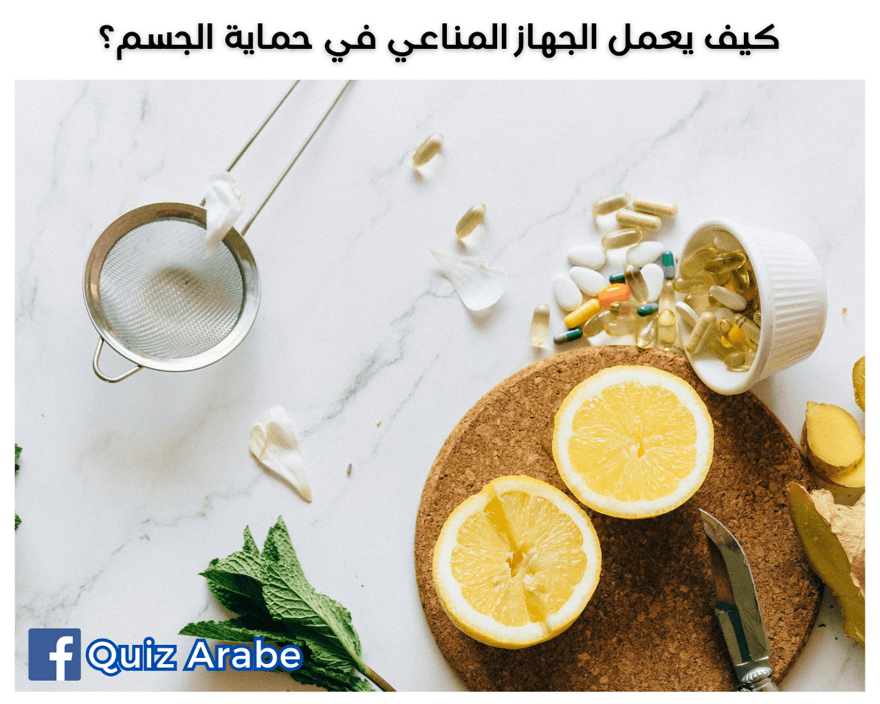 كيف يعمل الجهاز المناعي في حماية الجسم