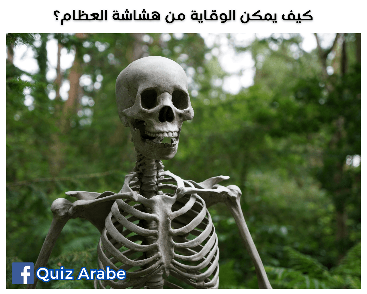 كيف يمكن الوقاية من هشاشة العظام