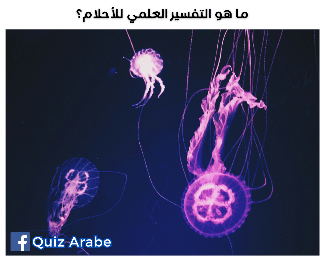 ما هو التفسير العلمي للأحلام