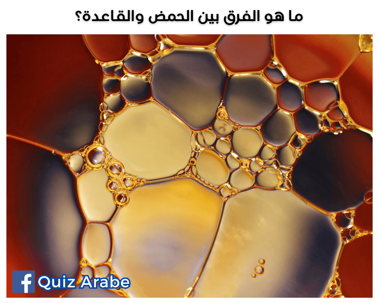 ما هو الفرق بين الحمض والقاعدة