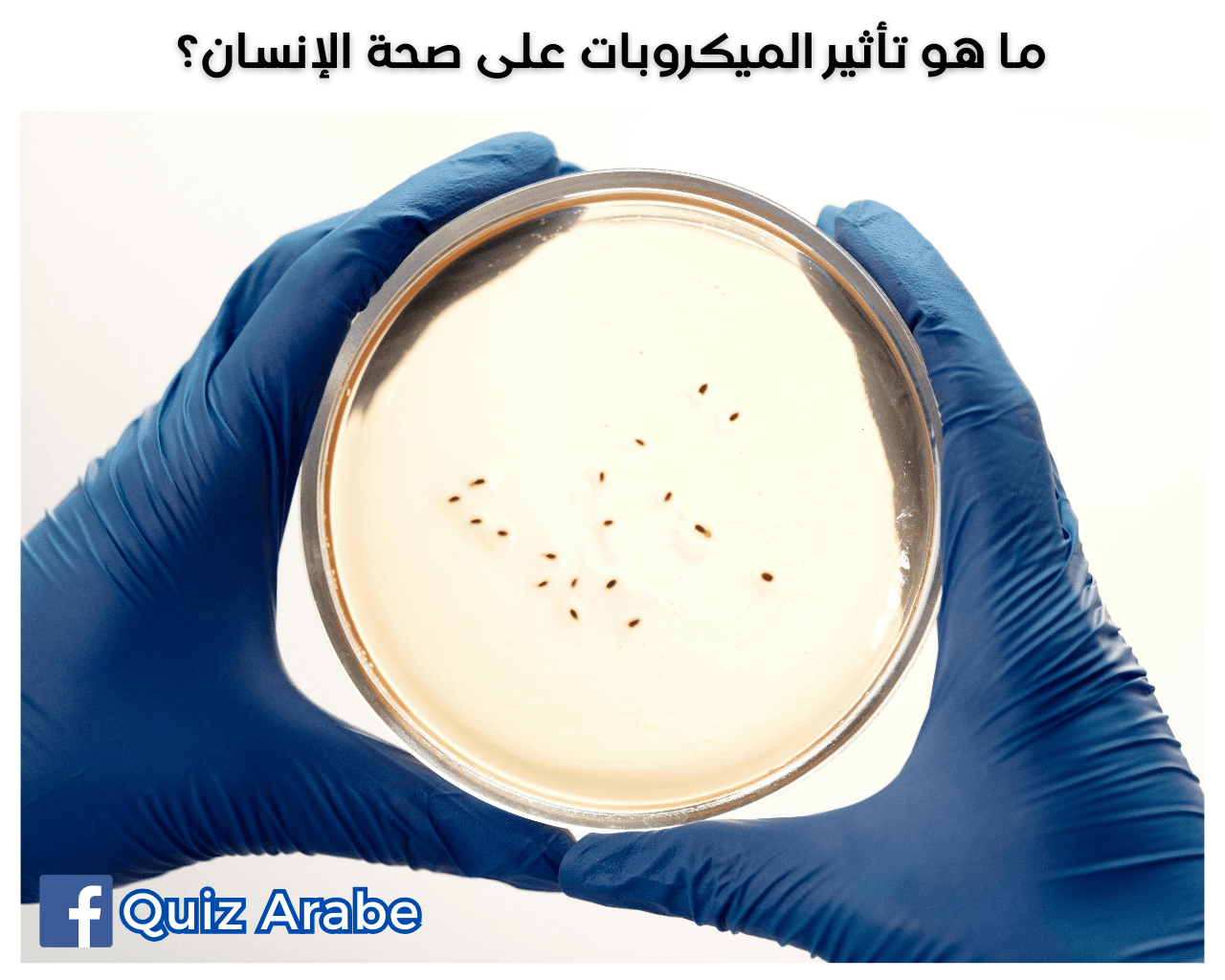 ما هو تأثير الميكروبات على صحة الإنسان