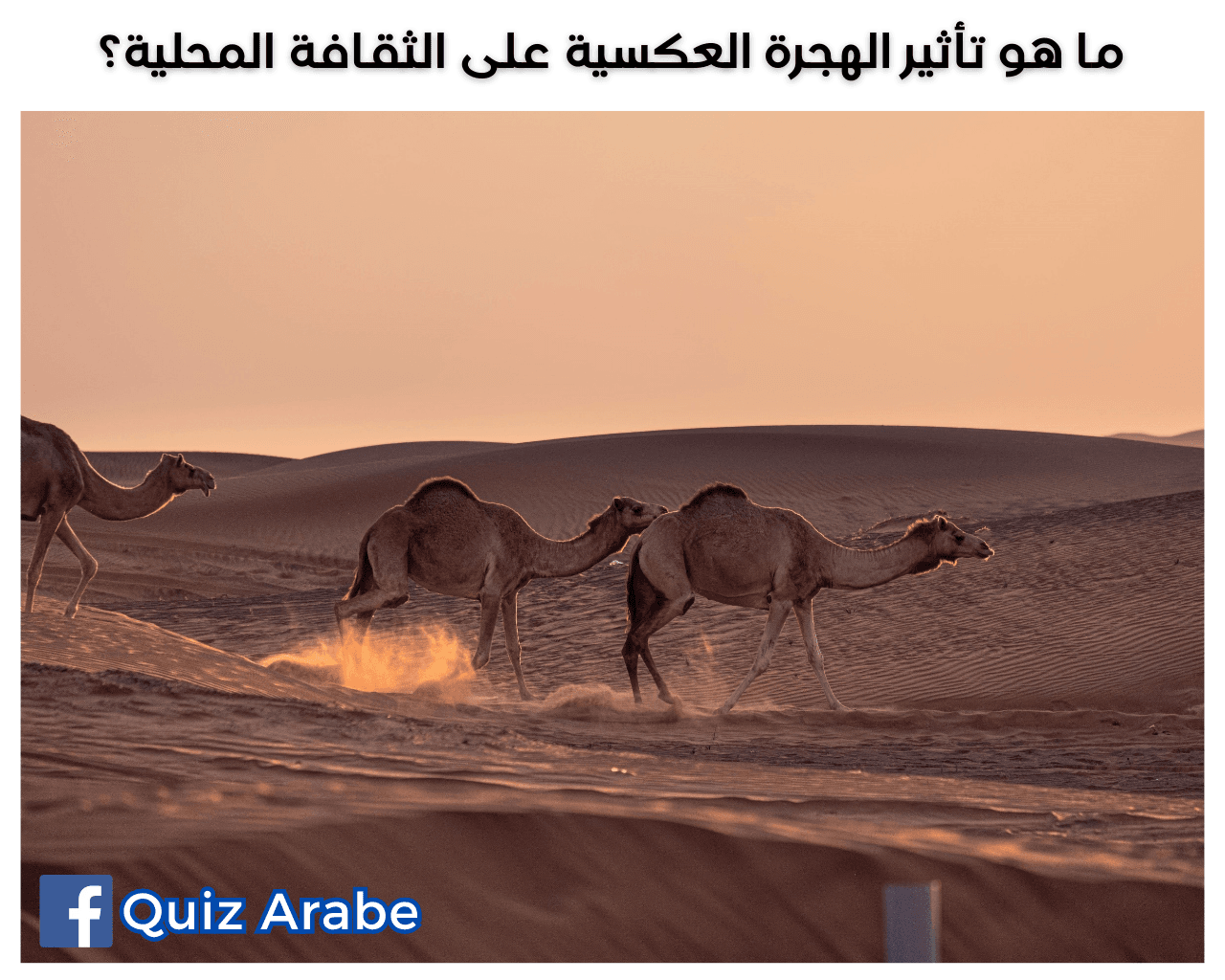 ما هو تأثير الهجرة العكسية على الثقافة المحلية؟