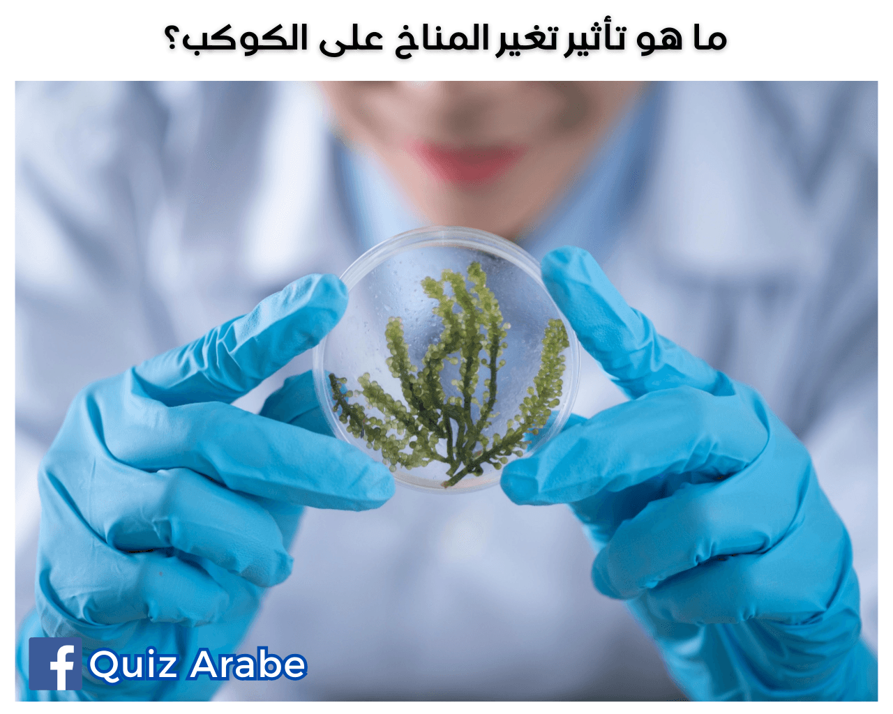 ما هو تأثير تغير المناخ على الكوكب