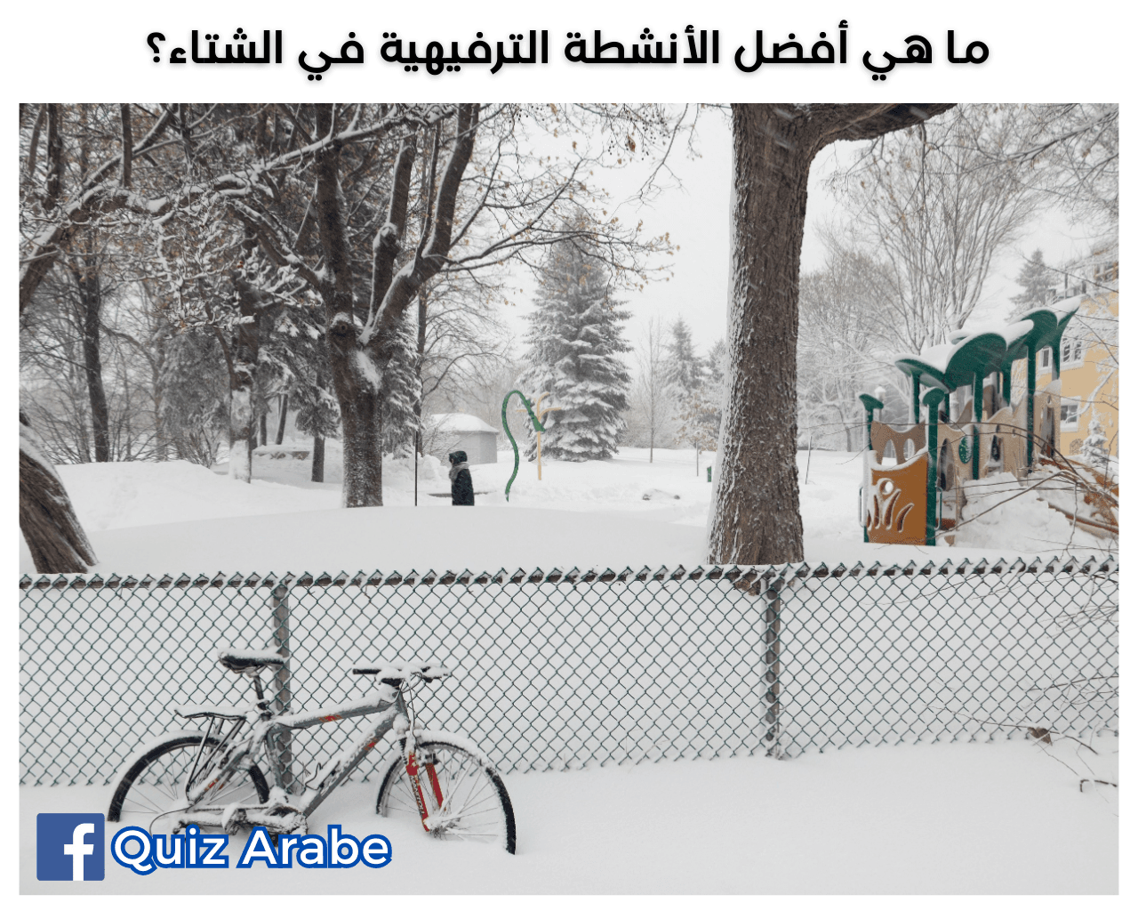 ما هي أفضل الأنشطة الترفيهية في الشتاء
