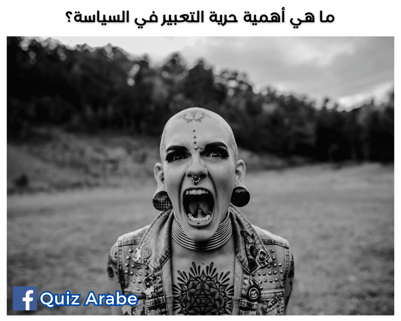 ما هي أهمية حرية التعبير في السياسة