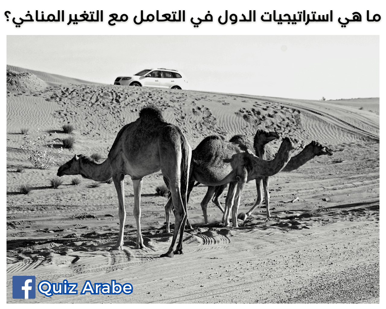 ما هي استراتيجيات الدول في التعامل مع التغير المناخي؟