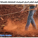 كيف تنظم الدول السياسات المتعلقة بالعمالة