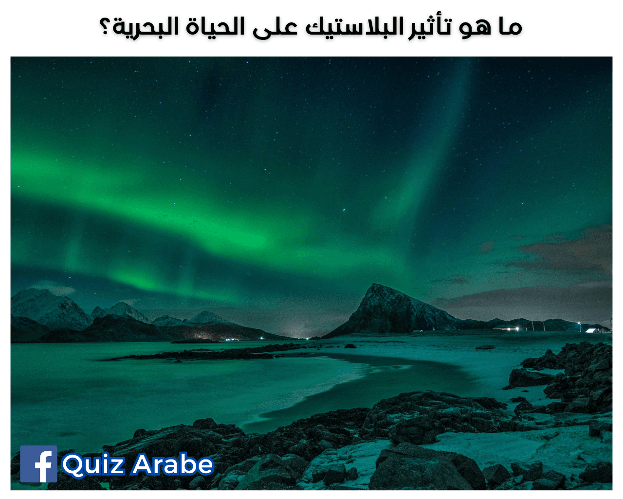 ما هو تأثير البلاستيك على الحياة البحرية
