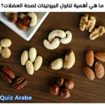 ما هي أهمية تناول البروتينات لصحة العضلات