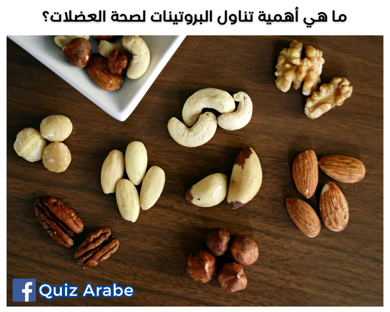 ما هي أهمية تناول البروتينات لصحة العضلات