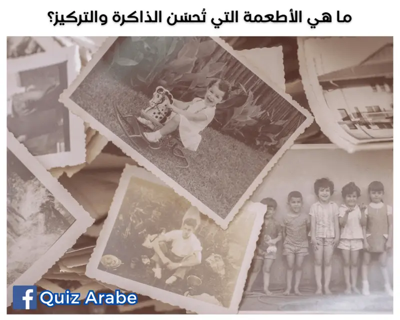 ما هي الأطعمة التي تحسّن الذاكرة والتركيز